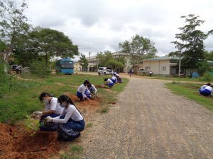 Tree Planting Ceremony